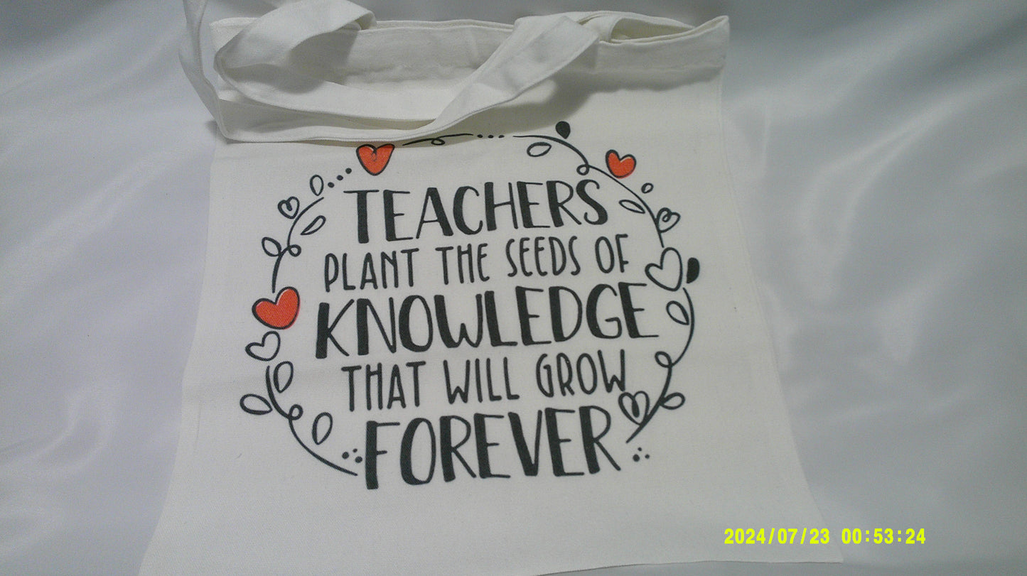 Teacher bag